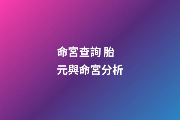 命宮查詢 胎元與命宮分析